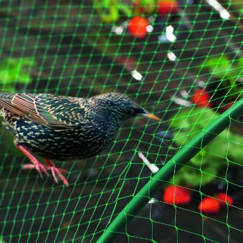 Malla antipajaro euromaglia